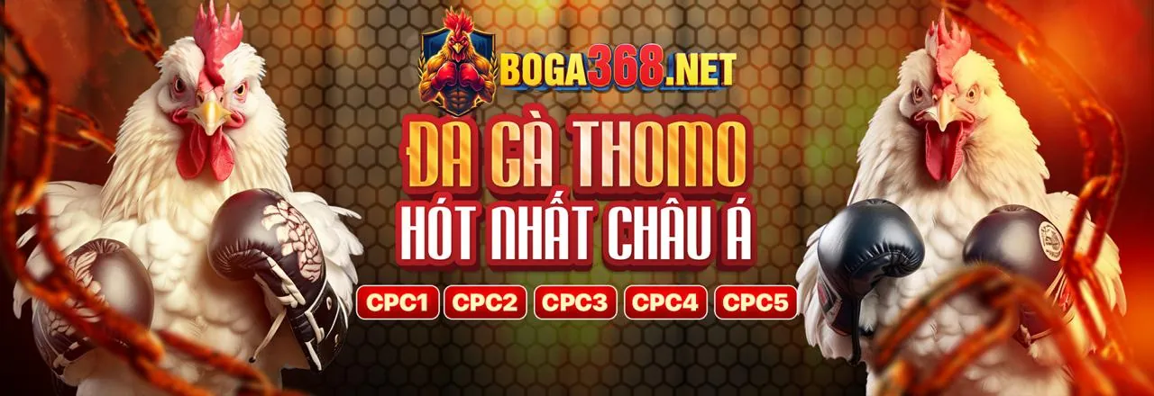 Cookie quảng cáo giúp 42vn casino cung cấp ưu đãi phù hợp
